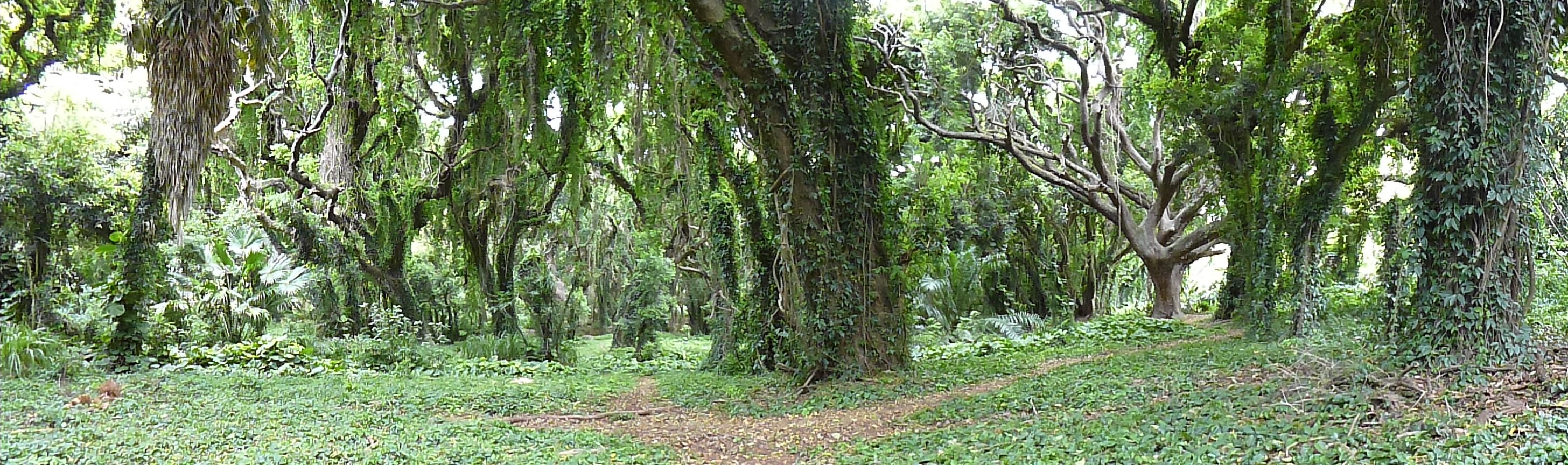 Featured Image -- 8885