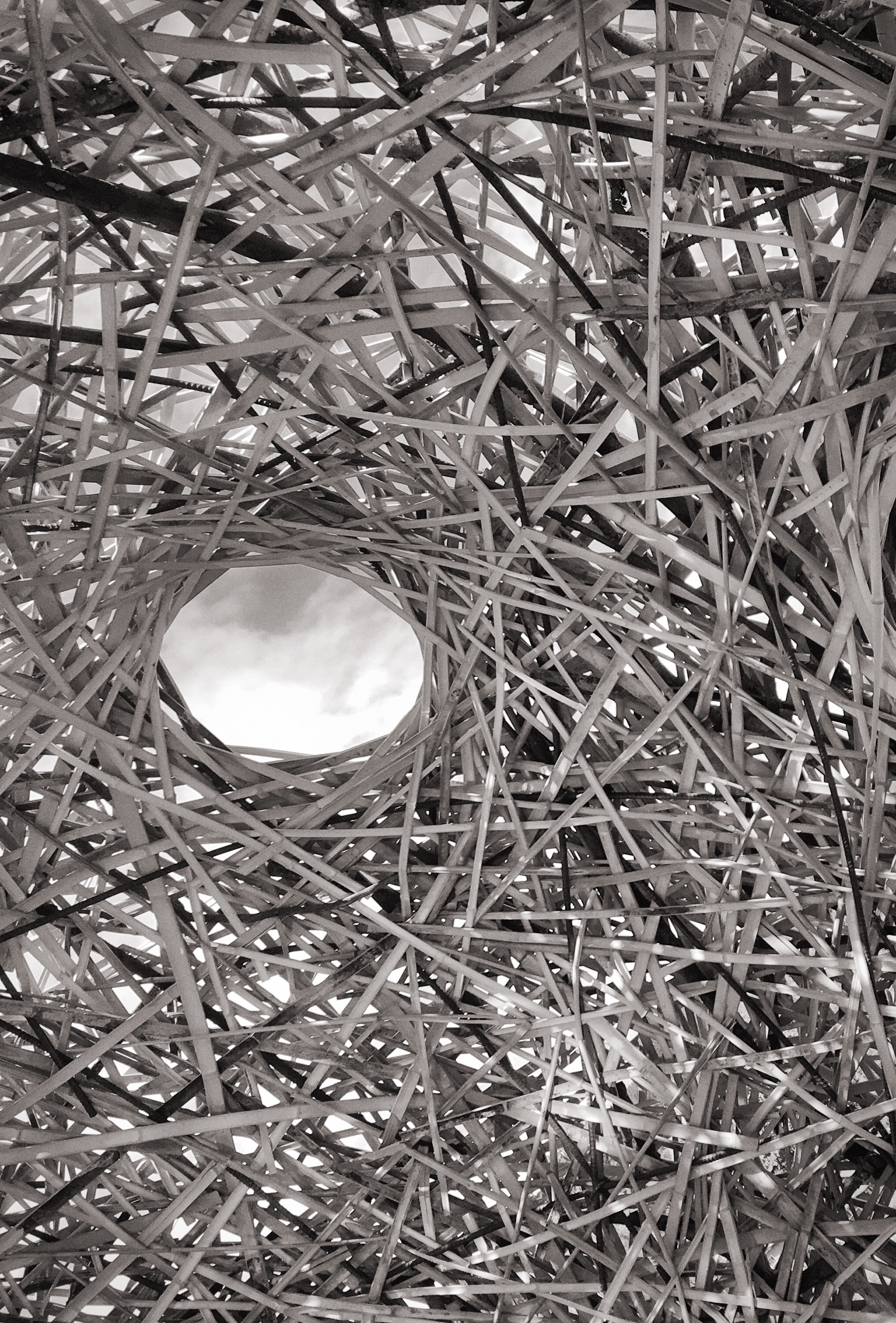 57FA6A00-5466-455D-AE3A-752BB65C334A