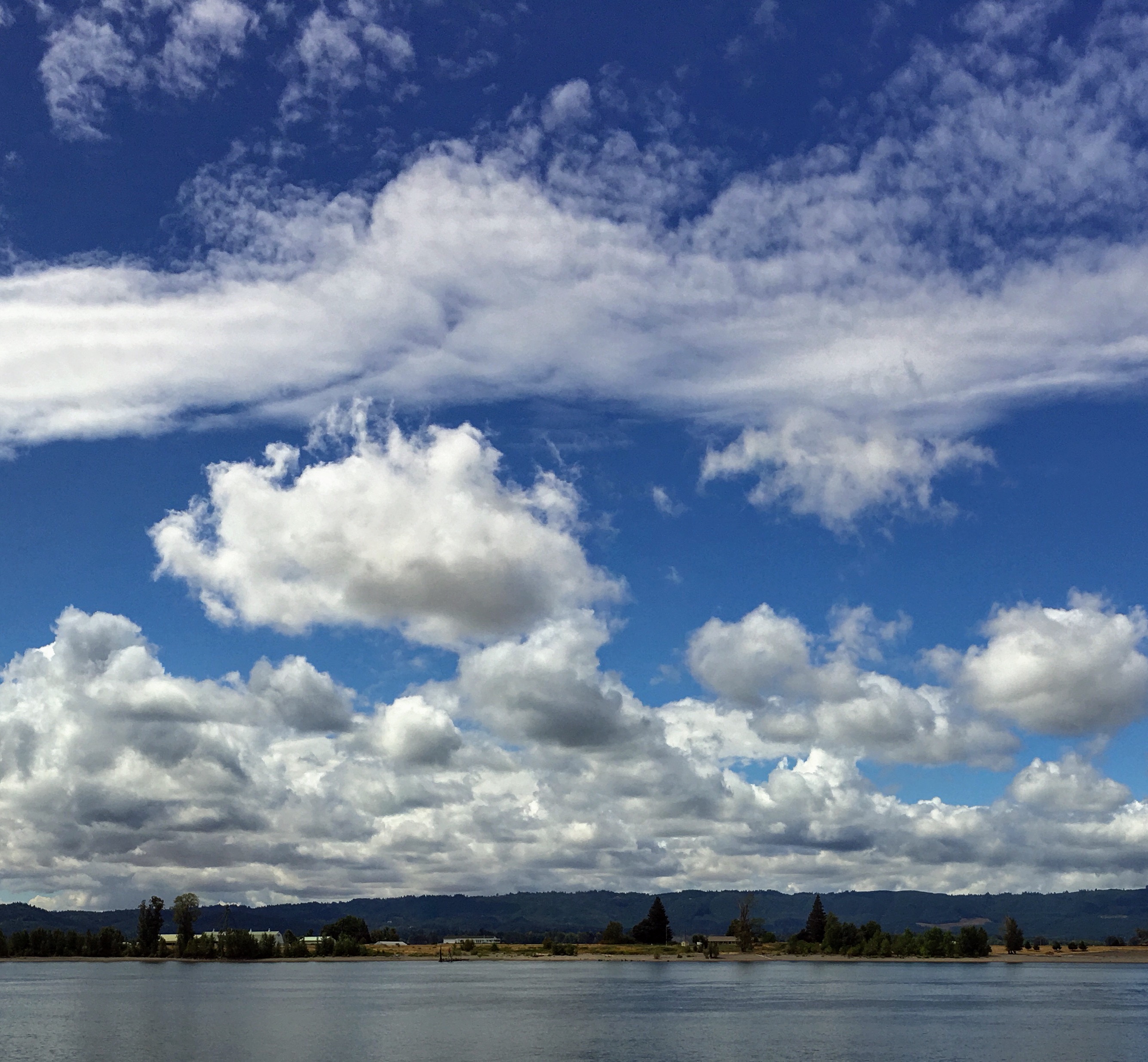 3335CE24-4D49-4D43-B198-C2664EA6CA47