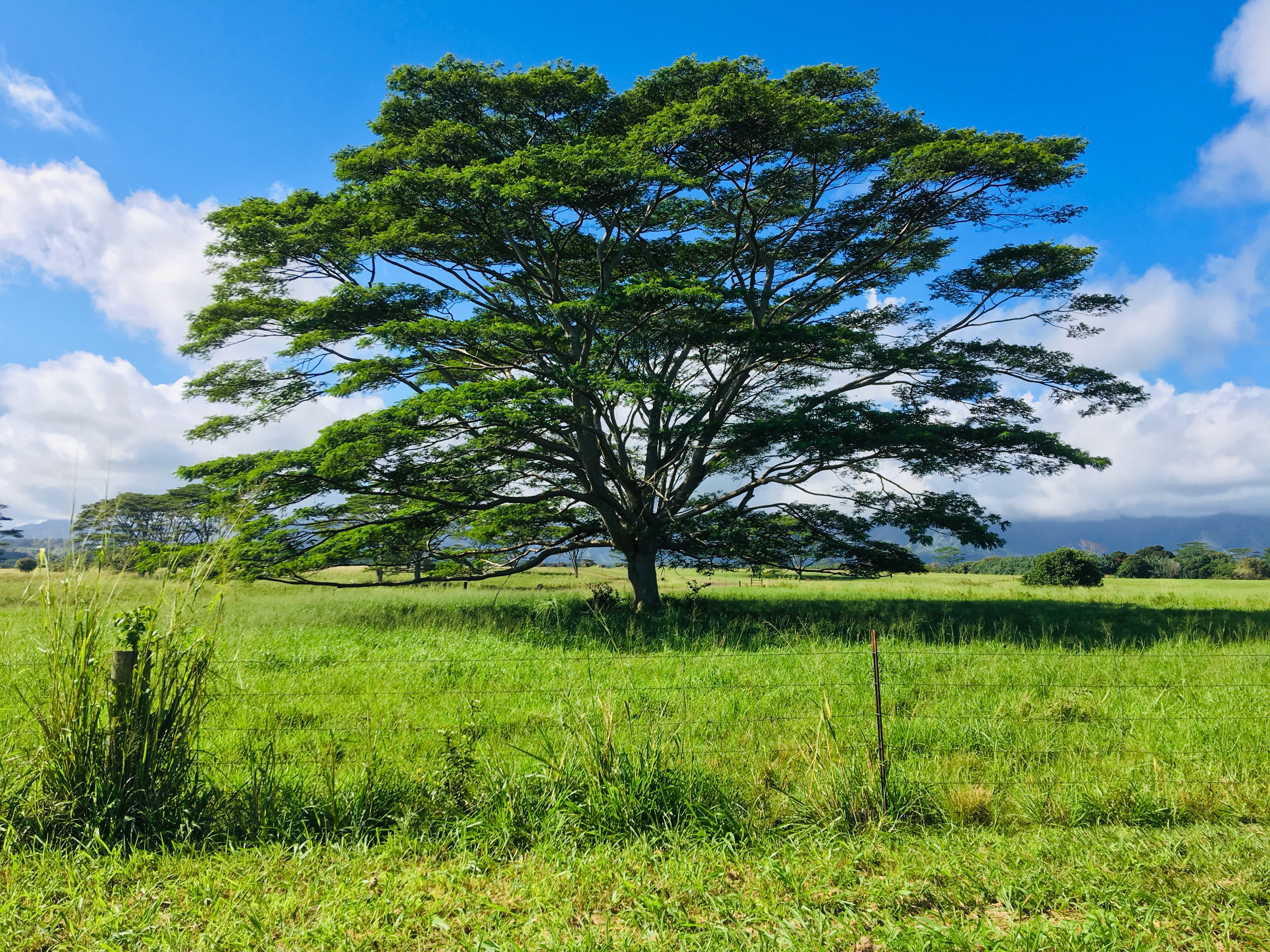 CA92437F-6203-4662-8E67-09F809256E53